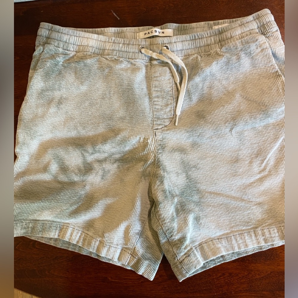 Pacsun Men’s Shorts, Volley, size M